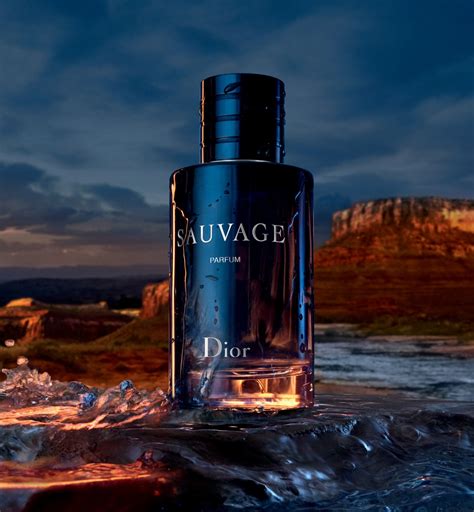 dior savafe|dior sauvage best price.